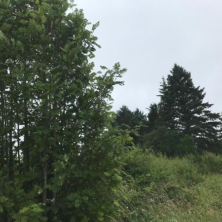 巴拉哈德林Pat'S Place公寓 外观 照片
