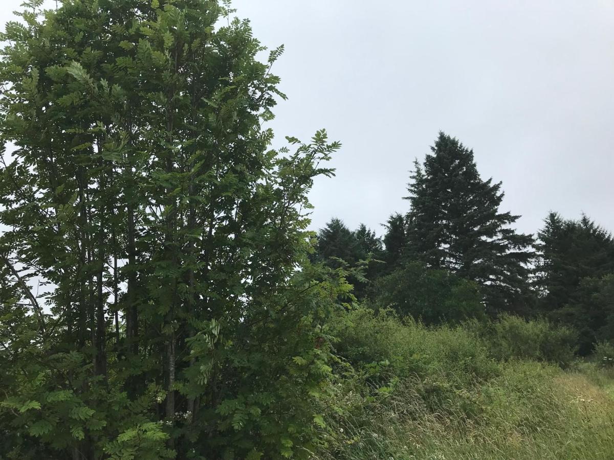 巴拉哈德林Pat'S Place公寓 外观 照片